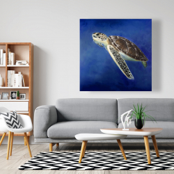 Toile 48 x 48 - Belle tortue de mer