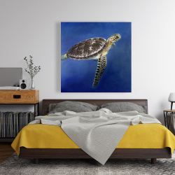 Canvas 48 x 48 - Turtle in the ocean