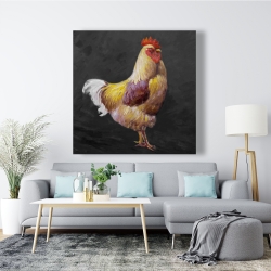 Toile 48 x 48 - Belle poule 2