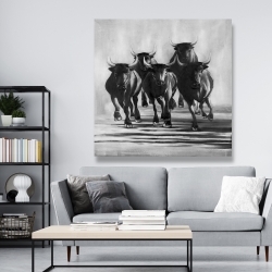 Canvas 48 x 48 - Group of bulls at galops