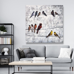 Canvas 48 x 48 - Colorful birds on branches