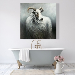 Canvas 48 x 48 - Cashmere goat