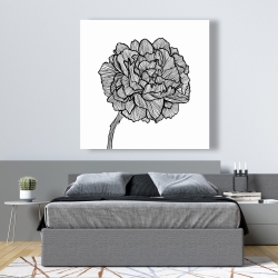 Canvas 48 x 48 - Peony line