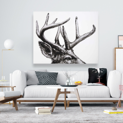 Canvas 48 x 60 - Roe deer plume