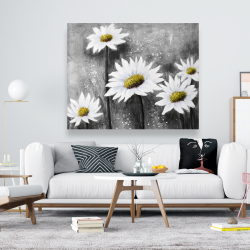 Canvas 48 x 60 - Daisies