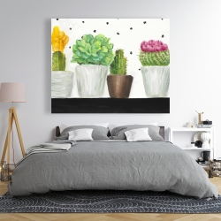 Canvas 48 x 60 - Mini cactus and succulents