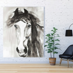 Canvas 48 x 60 - Beautiful wild horse