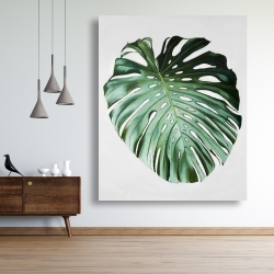 Toile 48 x 60 - Feuille de monstera