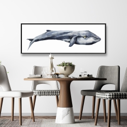 Framed 16 x 48 - Watercolor whale
