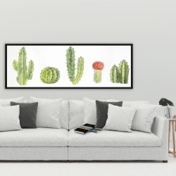 Framed 20 x 60 - Watercolor small cactus set