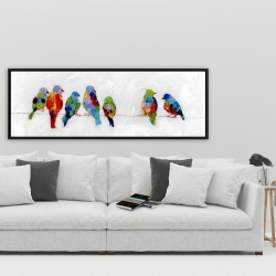 Framed 20 x 60 - Colorful birds on a wire