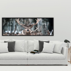 Framed 20 x 60 - Stags