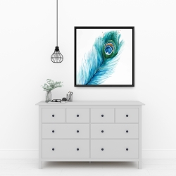 Framed 24 x 24 - Long peacock feather