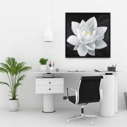 Framed 24 x 24 - Overhead view of a lotus flower