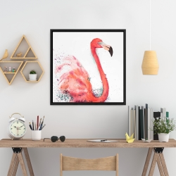 Framed 24 x 24 - Splashing flamingo