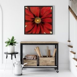 Framed 24 x 24 - Red daisy