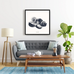 Framed 24 x 24 - Blue seaside shells