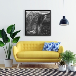 Framed 24 x 24 - Monochrome portrait highland cow