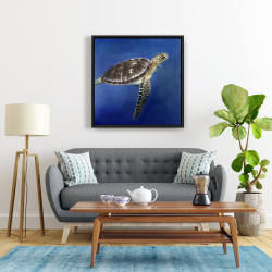 Framed 24 x 24 - Turtle in the ocean