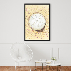 Framed 24 x 36 - Sand-dollar