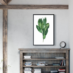 Framed 24 x 36 - Bay leaves bundle