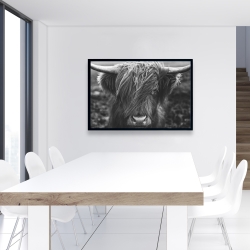 Framed 24 x 36 - Monochrome portrait highland cow