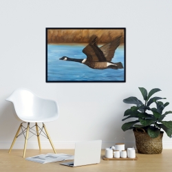 Framed 24 x 36 - Canada goose