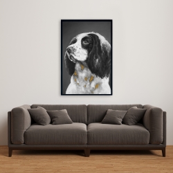 Encadré 24 x 36 - Chien springer spaniel anglais