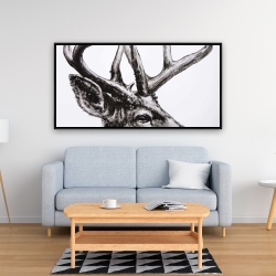 Framed 24 x 48 - Roe deer plume