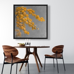 Framed 36 x 36 - Golden wattle plant