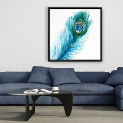 Framed 36 x 36 - Long peacock feather