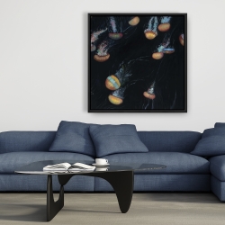 Framed 36 x 36 - Colorful jellyfishes swimming in the dark