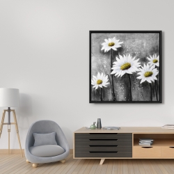 Framed 36 x 36 - Daisies