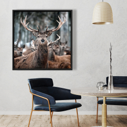 Framed 36 x 36 - Stags