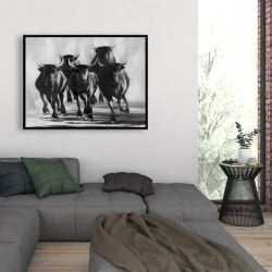 Framed 36 x 48 - Group of bulls at galops