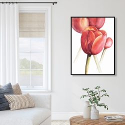 Encadré 36 x 48 - Tulipes en fleur