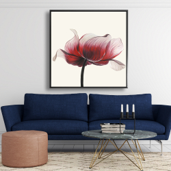 Framed 48 x 48 - Anemone flower