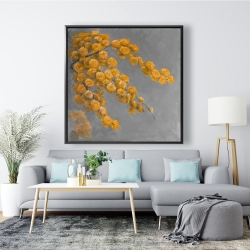 Framed 48 x 48 - Golden wattle plant