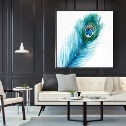 Framed 48 x 48 - Long peacock feather