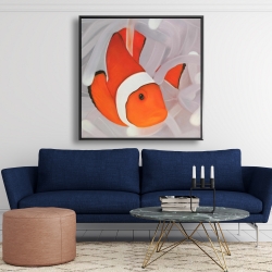 Encadré 48 x 48 - Poisson clown sous la mer