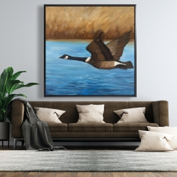 Framed 48 x 48 - Canada goose