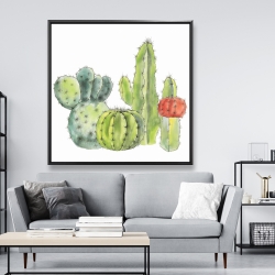 Framed 48 x 48 - Gathering of small cactus