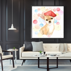 Encadré 48 x 48 - Chien chihuahua artiste