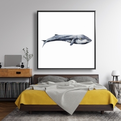 Framed 48 x 48 - Watercolor whale