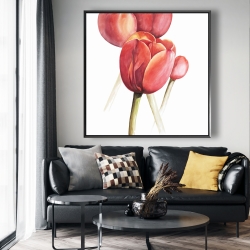 Encadré 48 x 48 - Tulipes en fleur