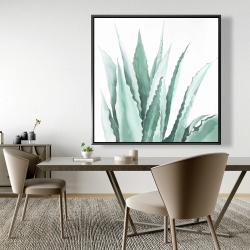 Encadré 48 x 48 - Plante d'agave en aquarelle