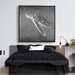 Framed 48 x 48 - Grayscale sea turtle