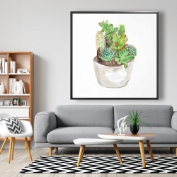 Encadré 48 x 48 - Assortiment de cactus en pot