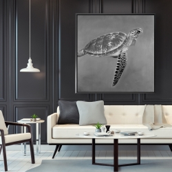 Framed 48 x 48 - Grayscale aquatic turtle