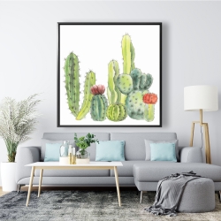 Encadré 48 x 48 - Petits cactus